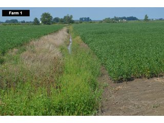 Property photo 15 - LAND AUCTION - 103+/- ACRES OFFERED IN 3 TRACTS AND 25 +/- ACRES OFFERED SEPARATELY IN PAULDING COUNTY, OHIO