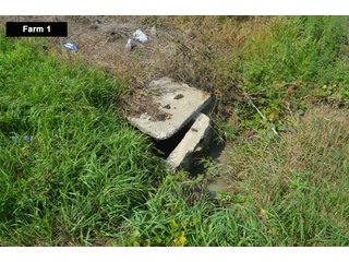 Property photo 16 - LAND AUCTION - 103+/- ACRES OFFERED IN 3 TRACTS AND 25 +/- ACRES OFFERED SEPARATELY IN PAULDING COUNTY, OHIO