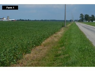 Property photo 17 - LAND AUCTION - 103+/- ACRES OFFERED IN 3 TRACTS AND 25 +/- ACRES OFFERED SEPARATELY IN PAULDING COUNTY, OHIO