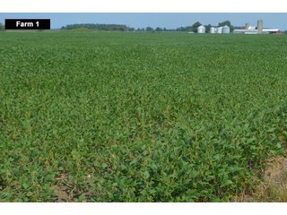 Property photo 18 - LAND AUCTION - 103+/- ACRES OFFERED IN 3 TRACTS AND 25 +/- ACRES OFFERED SEPARATELY IN PAULDING COUNTY, OHIO