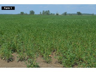 Property photo 19 - LAND AUCTION - 103+/- ACRES OFFERED IN 3 TRACTS AND 25 +/- ACRES OFFERED SEPARATELY IN PAULDING COUNTY, OHIO