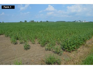 Property photo 20 - LAND AUCTION - 103+/- ACRES OFFERED IN 3 TRACTS AND 25 +/- ACRES OFFERED SEPARATELY IN PAULDING COUNTY, OHIO