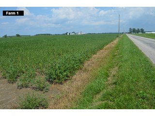 Property photo 21 - LAND AUCTION - 103+/- ACRES OFFERED IN 3 TRACTS AND 25 +/- ACRES OFFERED SEPARATELY IN PAULDING COUNTY, OHIO