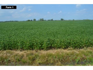 Property photo 22 - LAND AUCTION - 103+/- ACRES OFFERED IN 3 TRACTS AND 25 +/- ACRES OFFERED SEPARATELY IN PAULDING COUNTY, OHIO