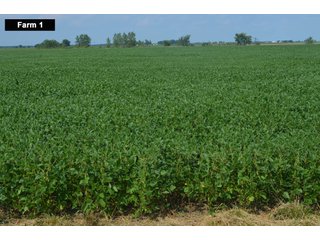 Property photo 23 - LAND AUCTION - 103+/- ACRES OFFERED IN 3 TRACTS AND 25 +/- ACRES OFFERED SEPARATELY IN PAULDING COUNTY, OHIO