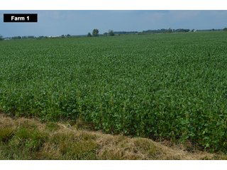 Property photo 24 - LAND AUCTION - 103+/- ACRES OFFERED IN 3 TRACTS AND 25 +/- ACRES OFFERED SEPARATELY IN PAULDING COUNTY, OHIO