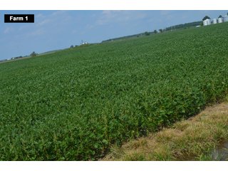 Property photo 25 - LAND AUCTION - 103+/- ACRES OFFERED IN 3 TRACTS AND 25 +/- ACRES OFFERED SEPARATELY IN PAULDING COUNTY, OHIO