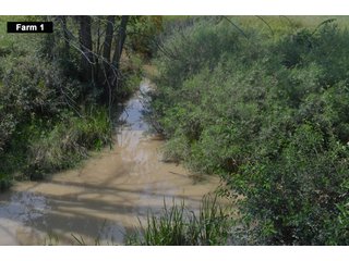 Property photo 26 - LAND AUCTION - 103+/- ACRES OFFERED IN 3 TRACTS AND 25 +/- ACRES OFFERED SEPARATELY IN PAULDING COUNTY, OHIO
