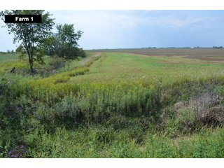 Property photo 28 - LAND AUCTION - 103+/- ACRES OFFERED IN 3 TRACTS AND 25 +/- ACRES OFFERED SEPARATELY IN PAULDING COUNTY, OHIO
