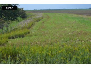 Property photo 29 - LAND AUCTION - 103+/- ACRES OFFERED IN 3 TRACTS AND 25 +/- ACRES OFFERED SEPARATELY IN PAULDING COUNTY, OHIO