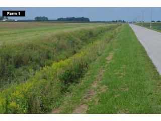 Property photo 31 - LAND AUCTION - 103+/- ACRES OFFERED IN 3 TRACTS AND 25 +/- ACRES OFFERED SEPARATELY IN PAULDING COUNTY, OHIO