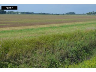 Property photo 32 - LAND AUCTION - 103+/- ACRES OFFERED IN 3 TRACTS AND 25 +/- ACRES OFFERED SEPARATELY IN PAULDING COUNTY, OHIO