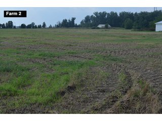 Property photo 42 - LAND AUCTION - 103+/- ACRES OFFERED IN 3 TRACTS AND 25 +/- ACRES OFFERED SEPARATELY IN PAULDING COUNTY, OHIO