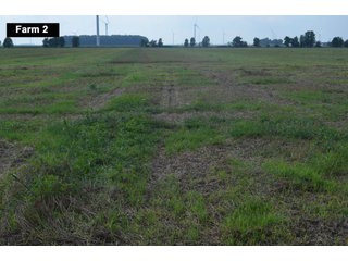 Property photo 43 - LAND AUCTION - 103+/- ACRES OFFERED IN 3 TRACTS AND 25 +/- ACRES OFFERED SEPARATELY IN PAULDING COUNTY, OHIO