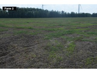 Property photo 44 - LAND AUCTION - 103+/- ACRES OFFERED IN 3 TRACTS AND 25 +/- ACRES OFFERED SEPARATELY IN PAULDING COUNTY, OHIO