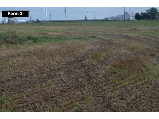 Property photo 47 - LAND AUCTION - 103+/- ACRES OFFERED IN 3 TRACTS AND 25 +/- ACRES OFFERED SEPARATELY IN PAULDING COUNTY, OHIO
