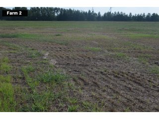 Property photo 48 - LAND AUCTION - 103+/- ACRES OFFERED IN 3 TRACTS AND 25 +/- ACRES OFFERED SEPARATELY IN PAULDING COUNTY, OHIO