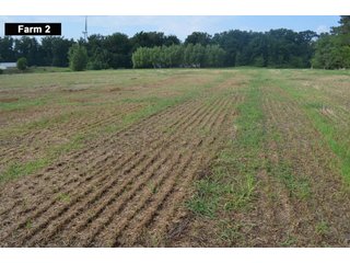 Property photo 49 - LAND AUCTION - 103+/- ACRES OFFERED IN 3 TRACTS AND 25 +/- ACRES OFFERED SEPARATELY IN PAULDING COUNTY, OHIO
