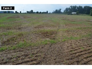 Property photo 50 - LAND AUCTION - 103+/- ACRES OFFERED IN 3 TRACTS AND 25 +/- ACRES OFFERED SEPARATELY IN PAULDING COUNTY, OHIO