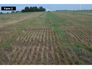 Property photo 51 - LAND AUCTION - 103+/- ACRES OFFERED IN 3 TRACTS AND 25 +/- ACRES OFFERED SEPARATELY IN PAULDING COUNTY, OHIO