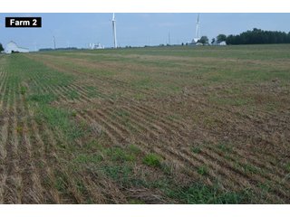 Property photo 52 - LAND AUCTION - 103+/- ACRES OFFERED IN 3 TRACTS AND 25 +/- ACRES OFFERED SEPARATELY IN PAULDING COUNTY, OHIO