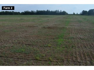 Property photo 53 - LAND AUCTION - 103+/- ACRES OFFERED IN 3 TRACTS AND 25 +/- ACRES OFFERED SEPARATELY IN PAULDING COUNTY, OHIO