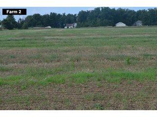 Property photo 56 - LAND AUCTION - 103+/- ACRES OFFERED IN 3 TRACTS AND 25 +/- ACRES OFFERED SEPARATELY IN PAULDING COUNTY, OHIO
