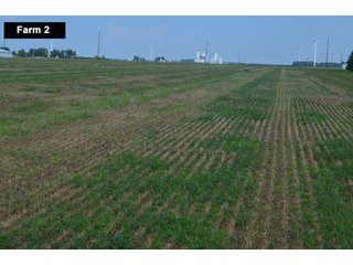 Property photo 58 - LAND AUCTION - 103+/- ACRES OFFERED IN 3 TRACTS AND 25 +/- ACRES OFFERED SEPARATELY IN PAULDING COUNTY, OHIO