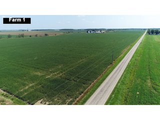 Property photo 12 - LAND AUCTION - 103+/- ACRES OFFERED IN 3 TRACTS AND 25 +/- ACRES OFFERED SEPARATELY IN PAULDING COUNTY, OHIO