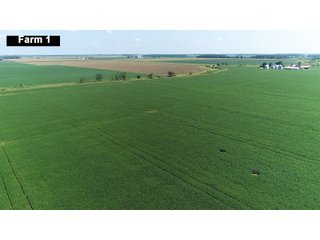Property photo 14 - LAND AUCTION - 103+/- ACRES OFFERED IN 3 TRACTS AND 25 +/- ACRES OFFERED SEPARATELY IN PAULDING COUNTY, OHIO