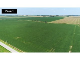 Property photo 3 - LAND AUCTION - 103+/- ACRES OFFERED IN 3 TRACTS AND 25 +/- ACRES OFFERED SEPARATELY IN PAULDING COUNTY, OHIO
