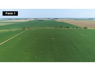 Property photo 4 - LAND AUCTION - 103+/- ACRES OFFERED IN 3 TRACTS AND 25 +/- ACRES OFFERED SEPARATELY IN PAULDING COUNTY, OHIO