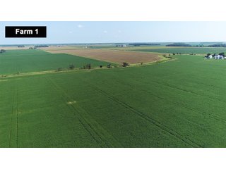 Property photo 5 - LAND AUCTION - 103+/- ACRES OFFERED IN 3 TRACTS AND 25 +/- ACRES OFFERED SEPARATELY IN PAULDING COUNTY, OHIO