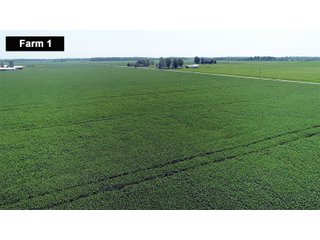 Property photo 6 - LAND AUCTION - 103+/- ACRES OFFERED IN 3 TRACTS AND 25 +/- ACRES OFFERED SEPARATELY IN PAULDING COUNTY, OHIO