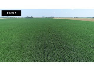 Property photo 7 - LAND AUCTION - 103+/- ACRES OFFERED IN 3 TRACTS AND 25 +/- ACRES OFFERED SEPARATELY IN PAULDING COUNTY, OHIO