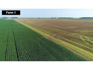 Property photo 8 - LAND AUCTION - 103+/- ACRES OFFERED IN 3 TRACTS AND 25 +/- ACRES OFFERED SEPARATELY IN PAULDING COUNTY, OHIO