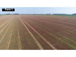 Property photo 9 - LAND AUCTION - 103+/- ACRES OFFERED IN 3 TRACTS AND 25 +/- ACRES OFFERED SEPARATELY IN PAULDING COUNTY, OHIO