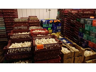 Property photo 12 - COMMERCIAL MUSHROOM FARM - 58.4+/- ACRES OFFERED IN 4 TRACTS IN CHESTER COUNTY, PENNSYLVANIA