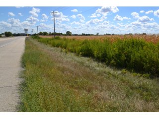 Property photo 25 - LAND AUCTION - 66+/- ACRES OFFERED IN 2 TRACTS IN BOONE AND DEKALB COUNTIES, ILLINOIS