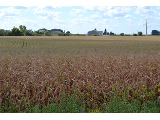 Property photo 23 - LAND AUCTION - 66+/- ACRES OFFERED IN 2 TRACTS IN BOONE AND DEKALB COUNTIES, ILLINOIS