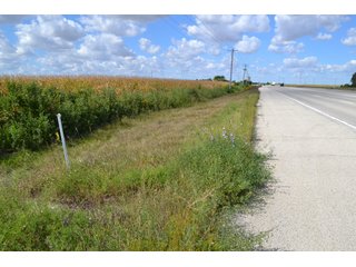 Property photo 22 - LAND AUCTION - 66+/- ACRES OFFERED IN 2 TRACTS IN BOONE AND DEKALB COUNTIES, ILLINOIS