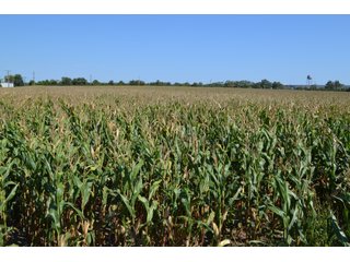 Property photo 17 - LAND AUCTION - 66+/- ACRES OFFERED IN 2 TRACTS IN BOONE AND DEKALB COUNTIES, ILLINOIS