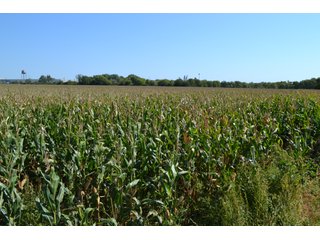 Property photo 16 - LAND AUCTION - 66+/- ACRES OFFERED IN 2 TRACTS IN BOONE AND DEKALB COUNTIES, ILLINOIS