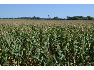 Property photo 15 - LAND AUCTION - 66+/- ACRES OFFERED IN 2 TRACTS IN BOONE AND DEKALB COUNTIES, ILLINOIS