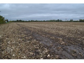 Property photo 14 - LAND AUCTION - 66+/- ACRES OFFERED IN 2 TRACTS IN BOONE AND DEKALB COUNTIES, ILLINOIS