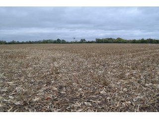 Property photo 13 - LAND AUCTION - 66+/- ACRES OFFERED IN 2 TRACTS IN BOONE AND DEKALB COUNTIES, ILLINOIS