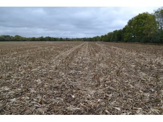 Property photo 12 - LAND AUCTION - 66+/- ACRES OFFERED IN 2 TRACTS IN BOONE AND DEKALB COUNTIES, ILLINOIS