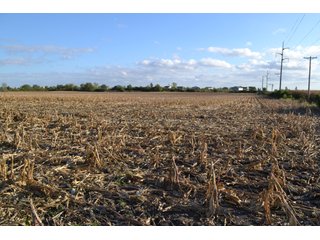 Property photo 9 - LAND AUCTION - 66+/- ACRES OFFERED IN 2 TRACTS IN BOONE AND DEKALB COUNTIES, ILLINOIS