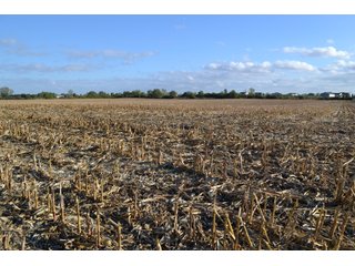 Property photo 10 - LAND AUCTION - 66+/- ACRES OFFERED IN 2 TRACTS IN BOONE AND DEKALB COUNTIES, ILLINOIS