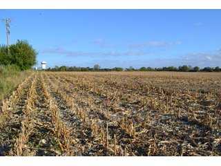 Property photo 48 - LAND AUCTION - 66+/- ACRES OFFERED IN 2 TRACTS IN BOONE AND DEKALB COUNTIES, ILLINOIS